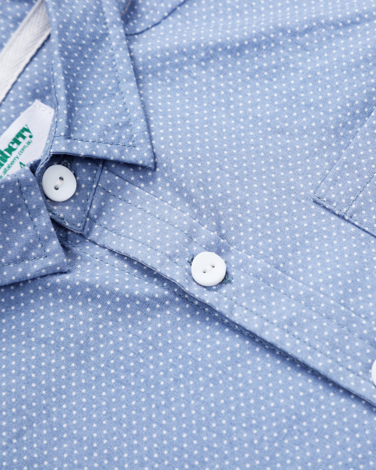 Pin Dot Shirt In Teal Detail
