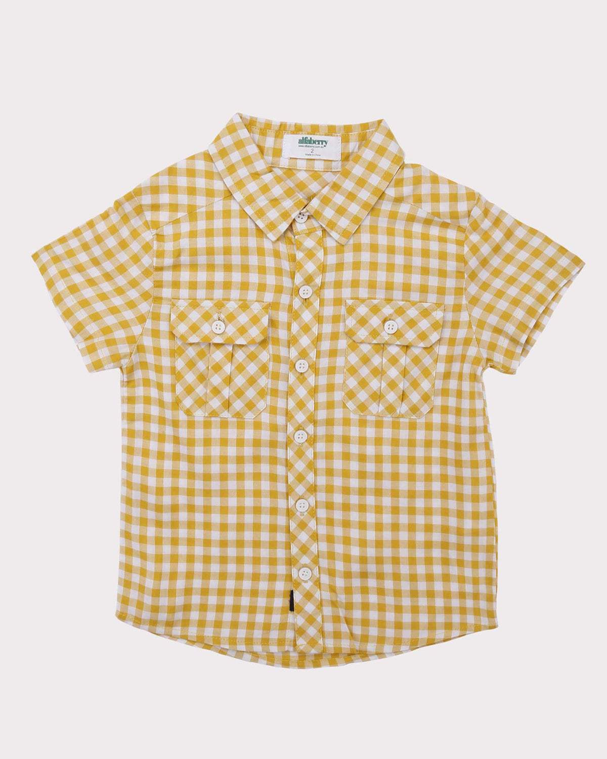 Gingham Shirt in Yellow front