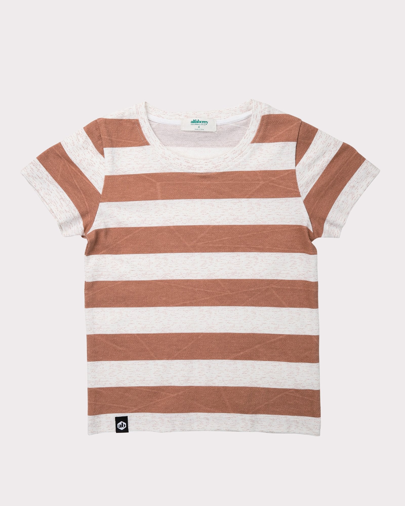 Large Stripe Explorer Tee In Rust Front