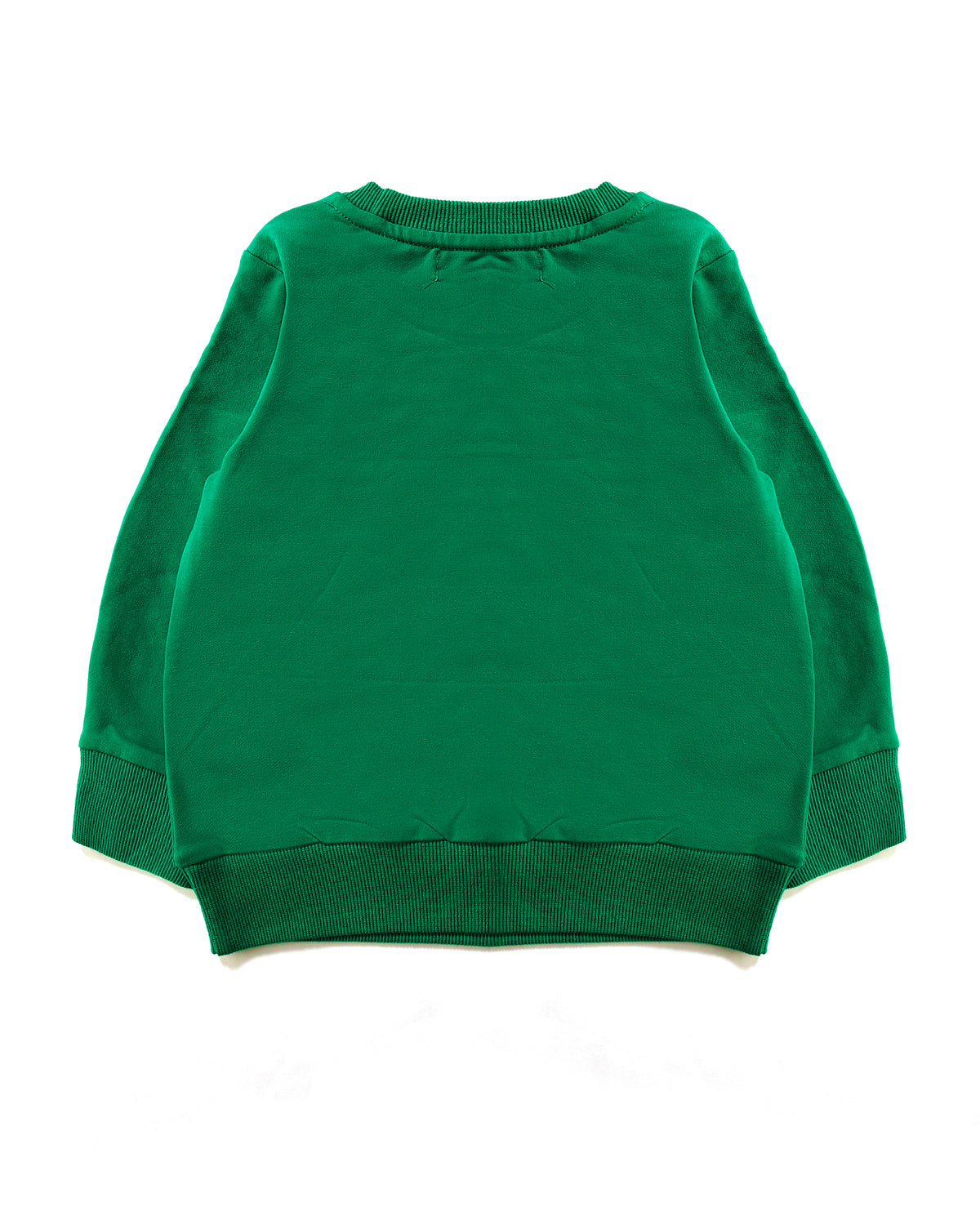 YAY Jumper in Green Back