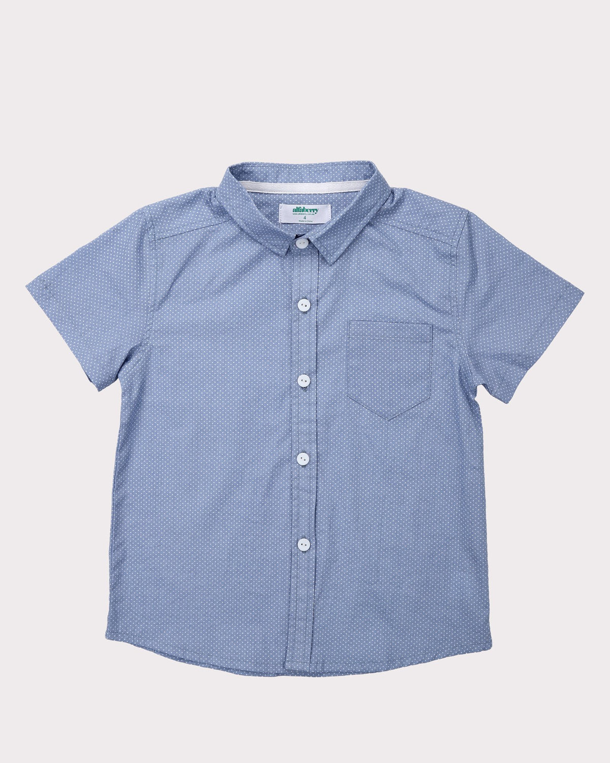 Pin Dot Shirt In Blue Front