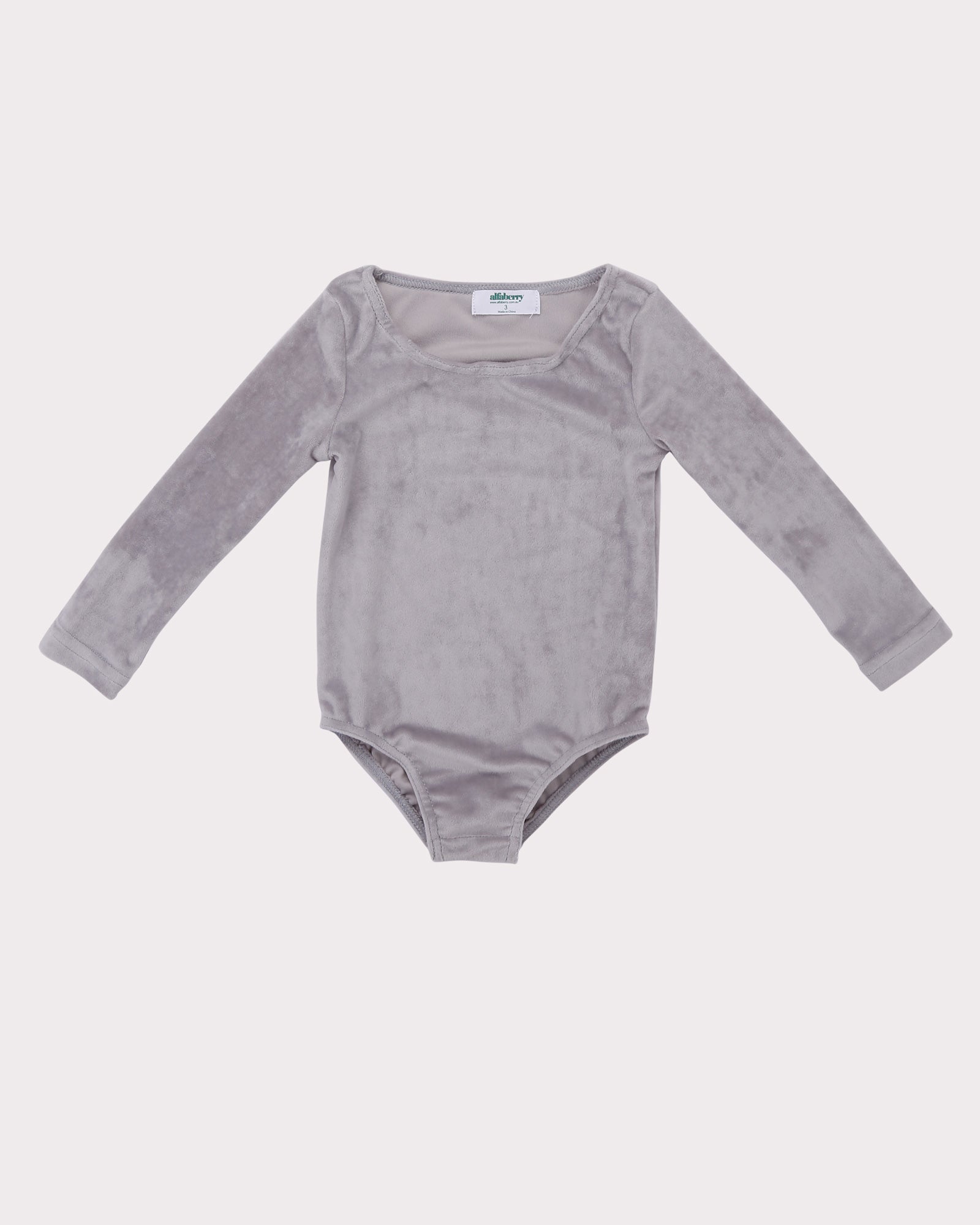 Velour Bodysuit in Silver Front